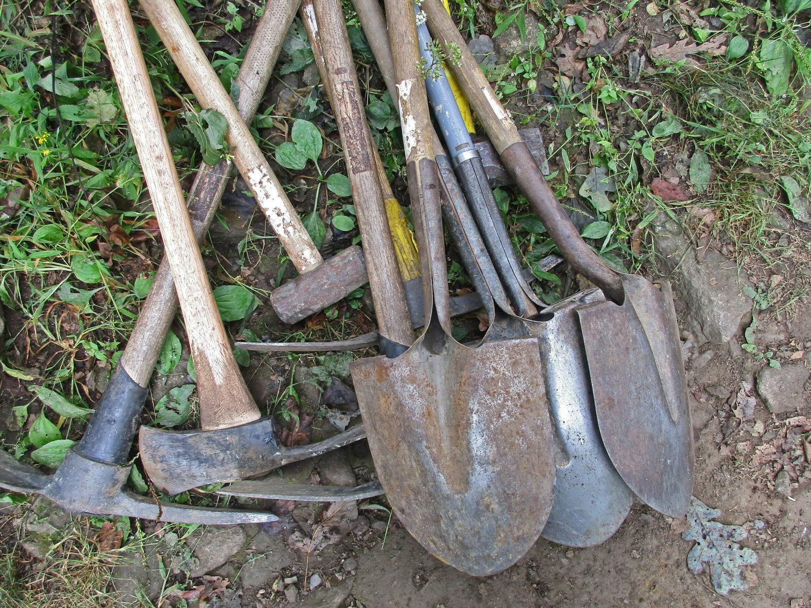 You are currently viewing 5 Different Types of Shovels for Various Household Projects in 2024