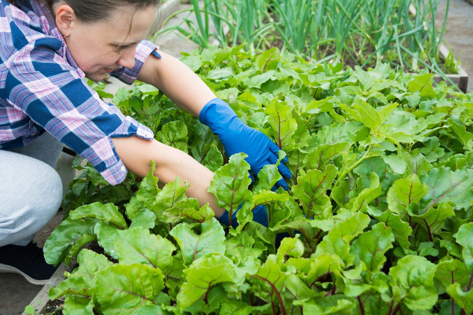 Read more about the article 5 Of the Best Essential Steps to Prepare Your Yard for Spring