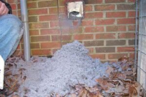 Read more about the article The Best Way to Clean Your Dryer Vent and How to Maintain It Clean