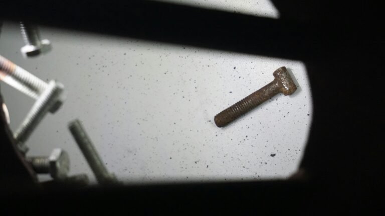 The Secret Life of Lost Screws: Where Do They Actually Go?