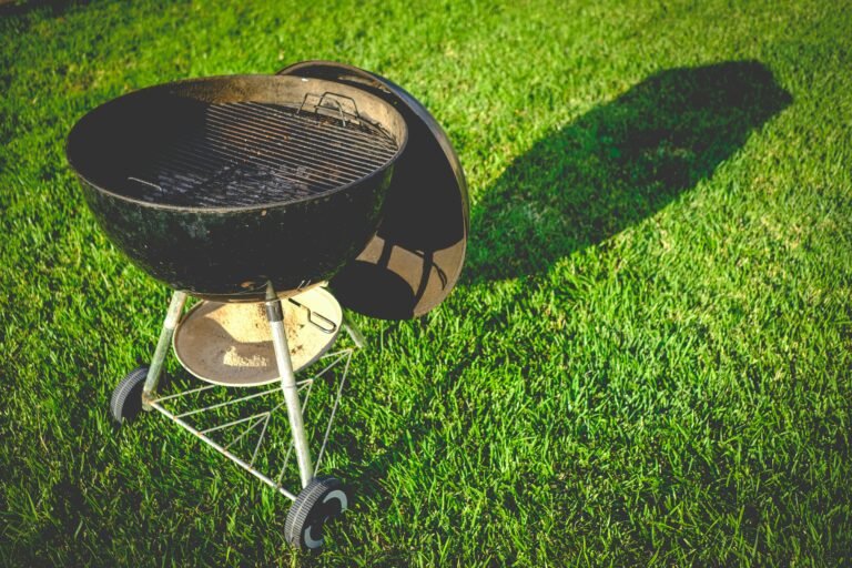 The Ultimate Guide to Grills: Types, Features, and Tips for Choosing the Perfect Grill