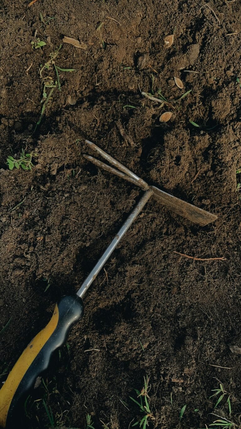 Understanding Post Hole Diggers: A Comprehensive Guide