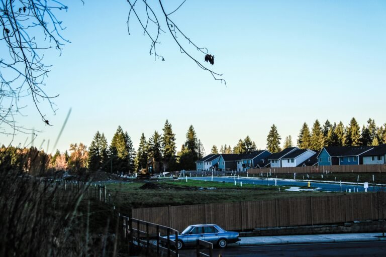 The Sunday Morning Symphony: Navigating Neighborly Yard Work Etiquette