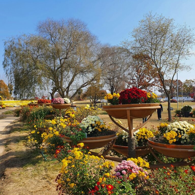 Perennials for Indianapolis: Low-Maintenance Plants That Thrive