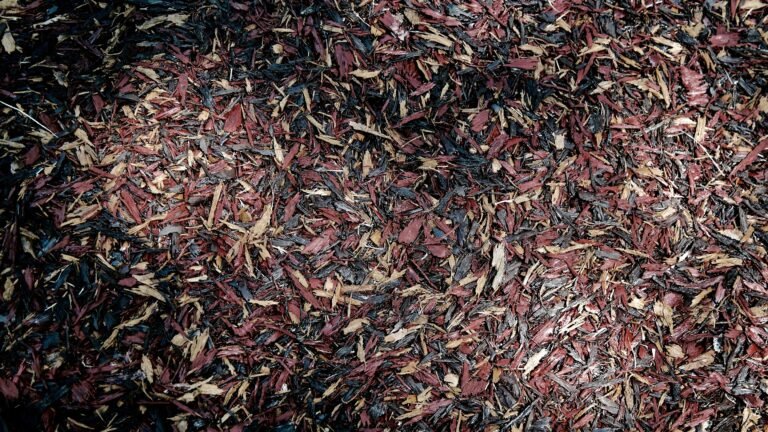 The Great Mulch Debate: What Color Says About You