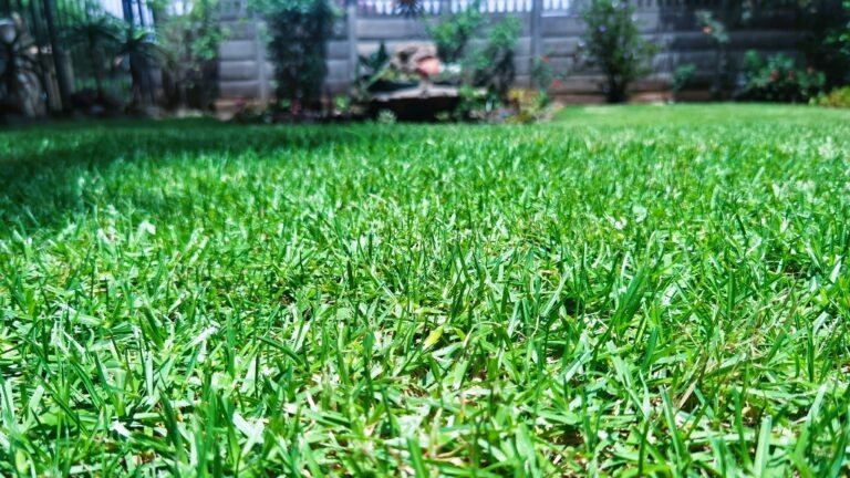 The Great Lawn War: Homeowners vs. Weeds, Grubs, and the Perfect Grass Neighbor