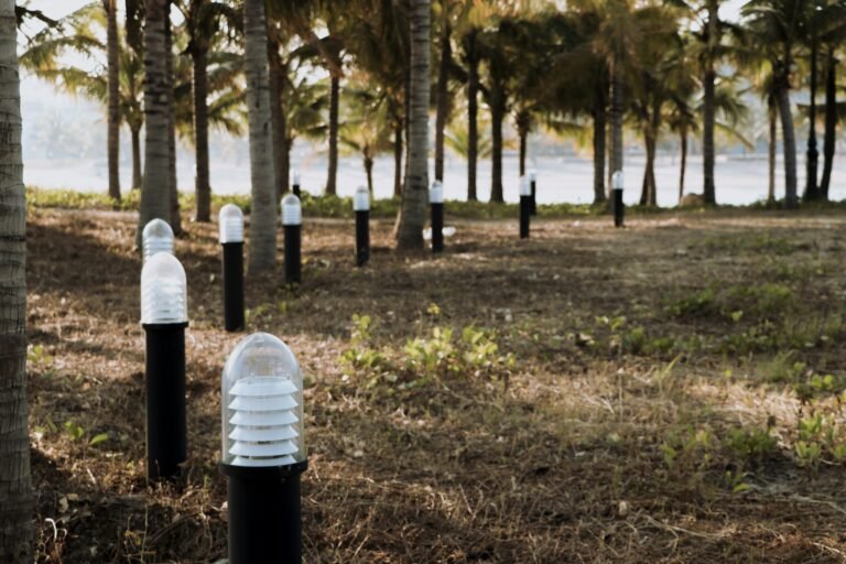 Outdoor Lighting for Every Budget: A 2026 Price Comparison