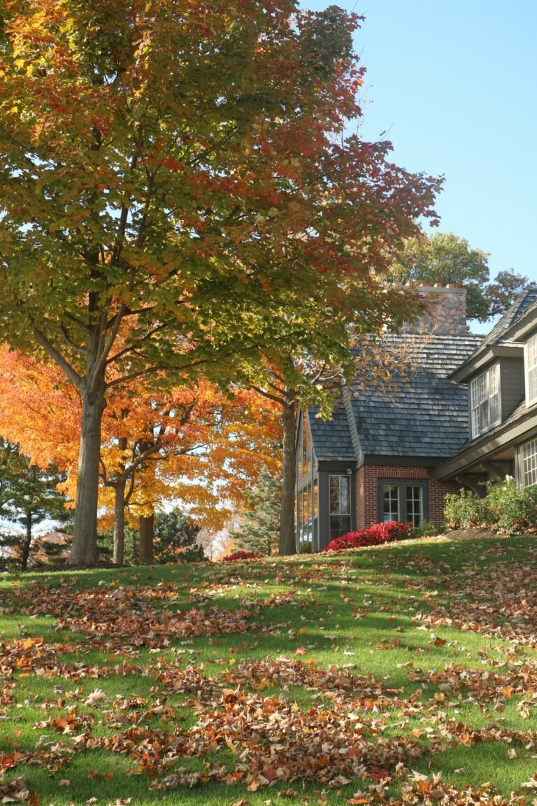 A Seasonal Guide to Home Projects: Insights from an Indianapolis Homeowner