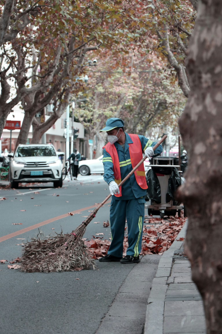 Comparing Leaf Management: Rake, Leaf Blower, Lawn Vacuum, and Mulching Mower