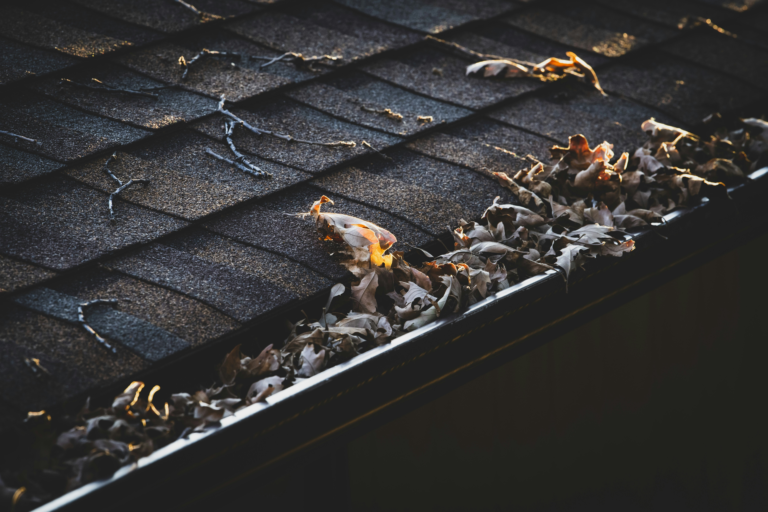 Indianapolis Fall Gutter Care: 2026 Costs, Safe DIY Tools, and When to Call a Pro